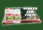 Dnger fr Coco