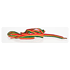 Schnrsenkel Rasta Farben schmaal