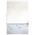 Homebox XXL 240x120x200cm Growbox