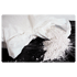 Perlite 10L