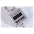 Digitalwaage 0,1g |  300g Hngewaage