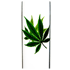 Leafline Glasbong > 18,8er H:40cm