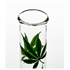 Leafline  Glasbong > 14,5er H: 22cm D: 36mm gerader aufbau + Kug