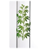 Growline Bong > 14,5er H:30cm D: 36mm mit Kugel