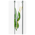 Glasbong CannaHeroes 