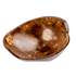 Brselschaleaus Kokosnuss