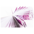 Filtertips 