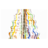 Caesar Shisha - 2-Schlauch - Funky ColourDot - Chrom