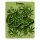 G-Rollz - Tütchen - Cheech & Chong Hanfblätter - 125x100 mm - 1 Stück