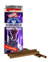 Hemparillo Hanfblunt 4Stk. - Purple Haze