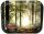 RAW Rolling Tray "RAW Smokey Forest" 34x27,5 cm - Medium