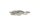 100 Siebe "High Society" rostfrei 15 mm grob