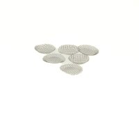 Storz & Bickel - 6x Sieb grob (klein 15 mm) - kompatibel zu Crafty/Mighty
