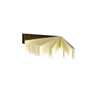 RAW Black Tips - 18x60 mm - 50Stk. - unperforiert