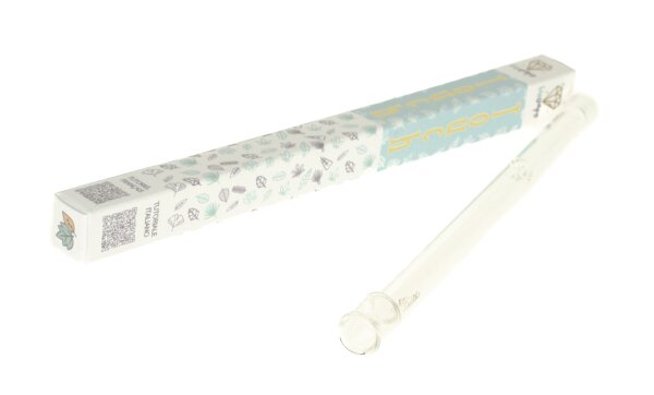 Vaporizer "BioVapo" aus Glas - Touch