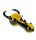 G-Spot Glaspfeife 10 cm Käfer mit Hörnern - gelb/schwarz Nr.41