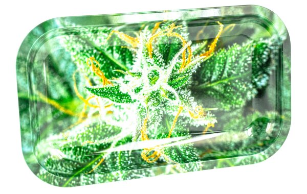 Rolling Tray "Bud AK47" - 27x16x1 cm - Small