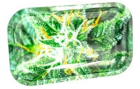 Rolling Tray "Bud AK47" - 27x16x1 cm - Small