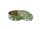 Click-Clack Dose "Leaf 2" D 5,8 cm